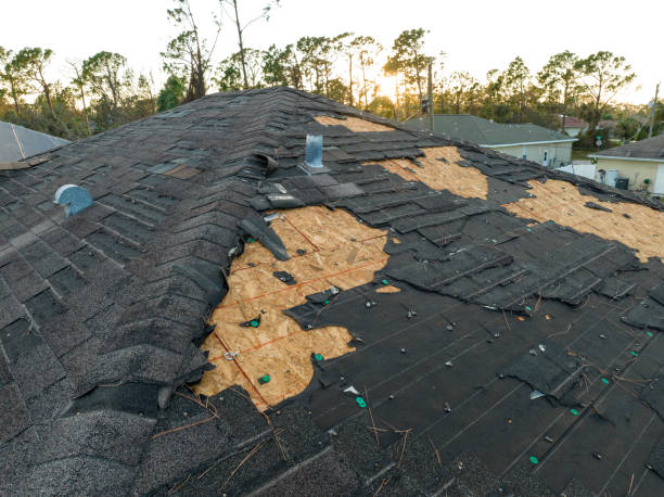 Best Chimney Flashing Repair  in Honolulu, HI