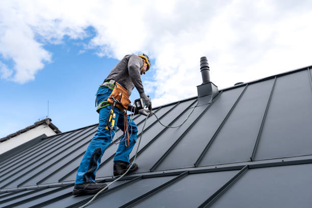 Best Steel Roofing  in Honolulu, HI